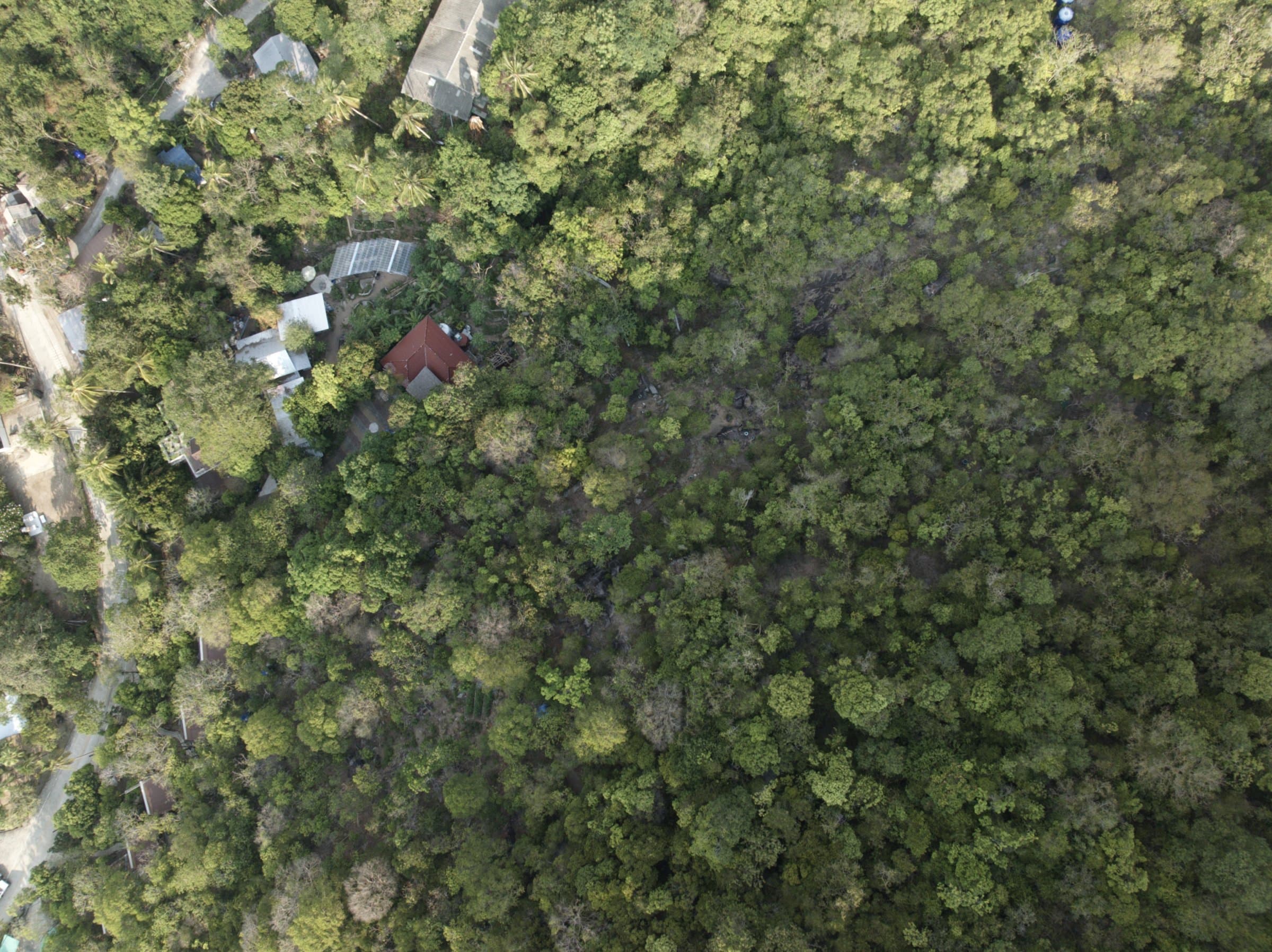 Aerial view of KD Genetics farm and Tanote Bay
