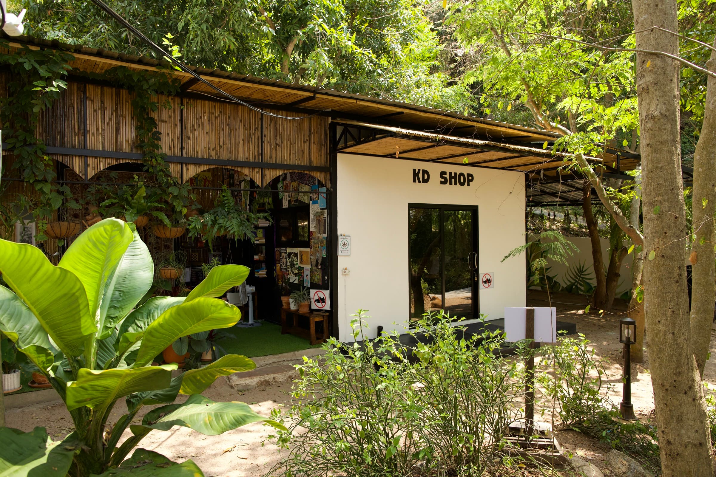 KD Genetics farm, Tanote Bay